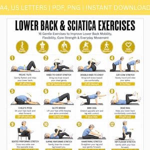 May include: A digital instructional chart titled Lower Back & Sciatica Exercises featuring 12 numbered illustrations of a person in blue clothing performing various stretches and movements on a mat, with text descriptions and yellow accent boxes.