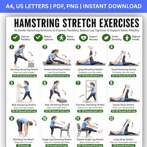 Può includere: Un poster didattico digitale intitolato Hamstring Stretch Exercises con 12 illustrazioni numerate di persone che eseguono vari esercizi di stretching. Il grafico include istruzioni testuali, icone con segno di spunta verde e 16 esercizi di stretching.