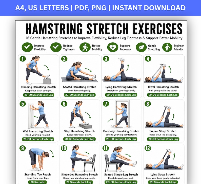 以下が含まれることがあります： Hamstring Stretch Exercisesというタイトルのデジタル指導ポスター。様々なストレッチを行う人物の番号付きイラストが12点描かれています。図にはテキストによる説明、緑色のチェックマークアイコン、16種類の優しいストレッチのラベルが含まれています。