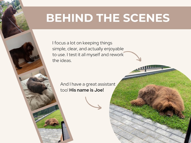 Puede incluir: Un collage de im&aacute;genes con un gran perro Terranova marr&oacute;n. Se muestra el texto "BEHIND THE SCENES". El perro se muestra en varios entornos, incluyendo al aire libre sobre hierba y en interiores. El texto menciona a un asistente llamado Joe.