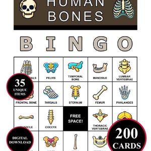 May include: A colorful bingo game card featuring illustrations of human bones. The card includes the text "HUMAN BONES BINGO" at the top, with various bone names and images in the grid. The card also includes the text "35 UNIQUE ITEMS" and "200 CARDS".