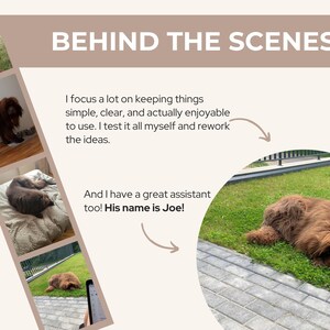 May include: A collage of images featuring a large, brown Newfoundland dog. The text "BEHIND THE SCENES" is displayed. The dog is shown in various settings, including outdoors on grass and indoors. Text mentions an assistant named Joe.