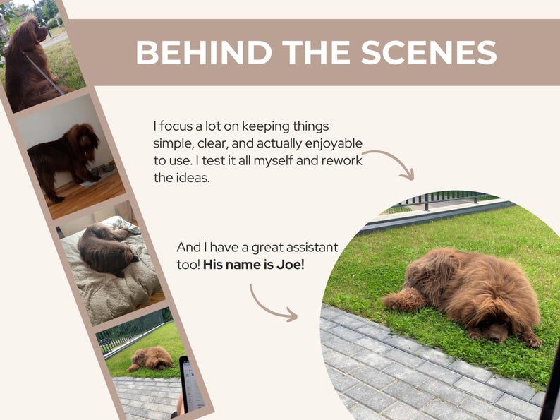 May include: A collage of images featuring a large, brown Newfoundland dog. The text "BEHIND THE SCENES" is displayed. The dog is shown in various settings, including outdoors on grass and indoors. Text mentions an assistant named Joe.
