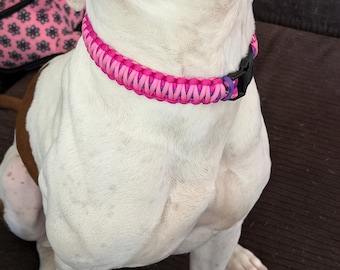 Paracord Hundhalsband (Spänne Stängning)