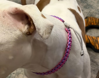 Paracord Hundhalsband Anpassningsbart (Justerbart)