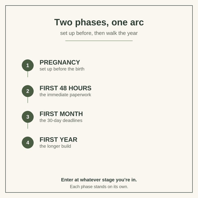 May include: A white informational graphic titled Two phases, one arc, set up before, then walk the year. It lists four numbered stages in dark green circles: 1 PREGNANCY, 2 FIRST 48 HOURS, 3 FIRST MONTH, and 4 FIRST YEAR, with descriptive text for each.
