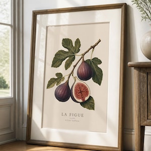 Könnte beinhalten: Ein gerahmter botanischer Druck mit einem Feigenzweig mit reifen, violetten Feigen und grünen Blättern. Der Druck enthält den Text "LA FIGUE" und "FICUS CARICA" vor einem cremefarbenen Hintergrund.