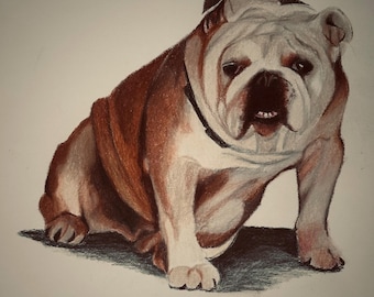 Custom Color Pet Portrait from Photo | Custom hand-drawn portrait created from YOUR photo. The artwork shown is not for sale