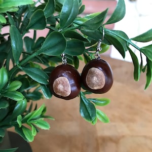 Buckeye Nut Earrings - Support OSU