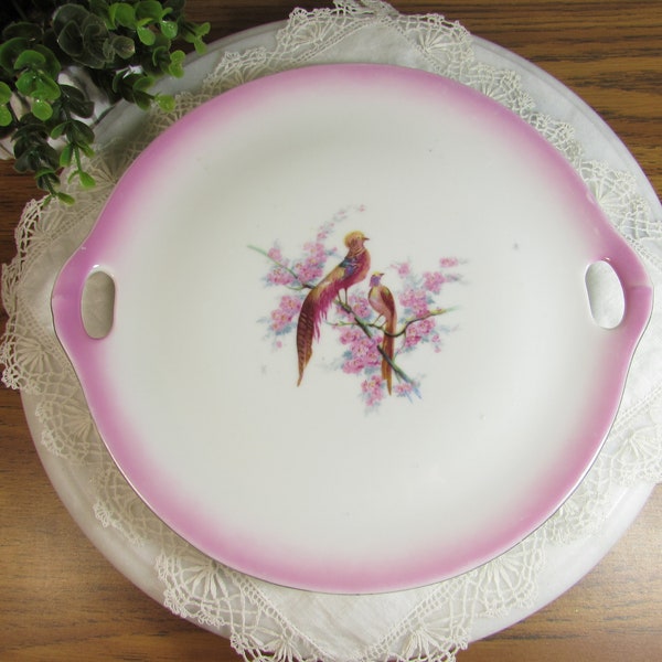 Vintage Czechoslovakia Pink Painted Bird Plate