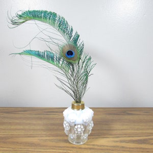May include: A small white milk glass vase with a hobnail texture and a gold-toned metal rim. Two iridescent peacock feathers with prominent blue and brown eyespots are inserted into the opening of the vase, extending upwards and outwards.