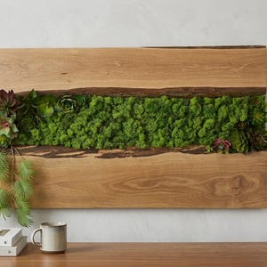 May include: A wooden wall hanging with a central band of bright green moss, framed by natural wood. The artwork includes various succulents and trailing plants, offering a natural, textured appearance. A unique piece for home decor.