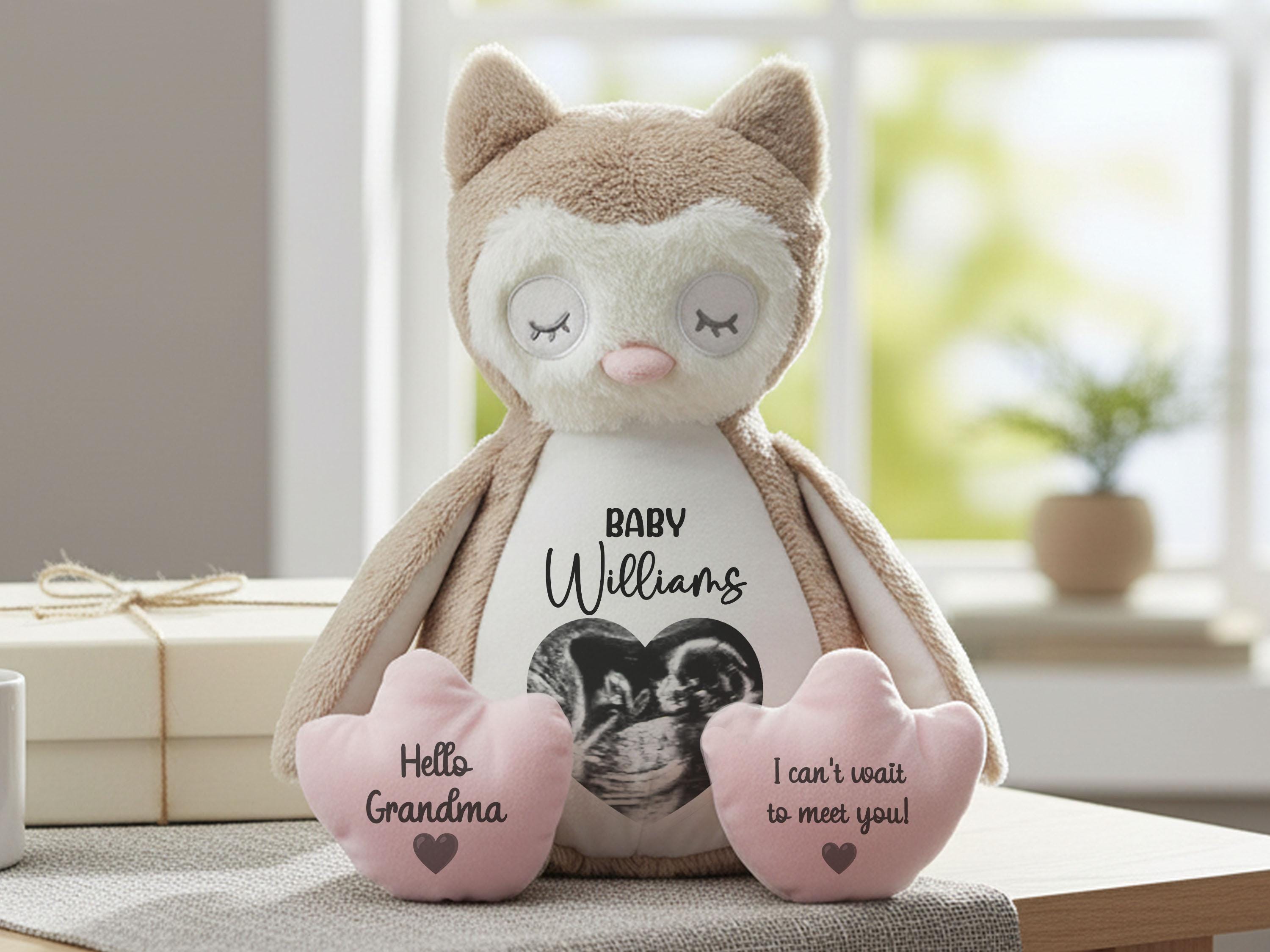 Personalised Owl Teddy Pregnancy Reveal New Baby Announcement Keepsake Gift