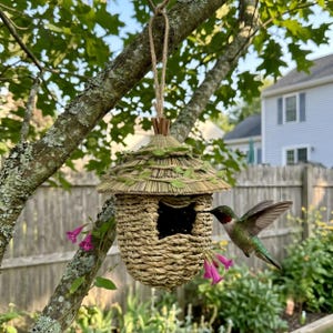 May include: A woven natural fiber birdhouse with a conical thatched roof decorated with faux green leaves, suspended by a jute rope. A ruby-throated hummingbird with iridescent green feathers and a bright red throat patch hovers near the opening.