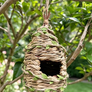 May include: A teardrop-shaped birdhouse woven from light tan dried grass and straw. The structure features a circular entrance hole and is wrapped with a thin jute twine intertwined with small, artificial green fabric leaves for decoration.