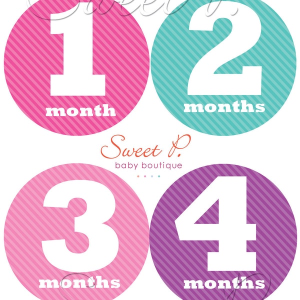 Baby Girl Monthly Stickers milestone stickers bodysuit stickers