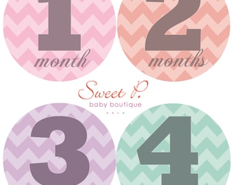 Baby Girl Monthly Stickers: Zig Zag/ Chevron