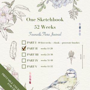 Diario de Fauna y Flora / Páginas imprimibles de las semanas 11 a 20 / Plantillas de Procreate