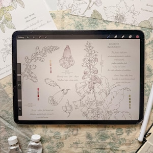 May include: A digital tablet displaying a botanical illustration of a foxglove plant with line drawings, color swatches, and text. The screen shows the plant's name, scientific name, blooming season, and descriptive notes in English.