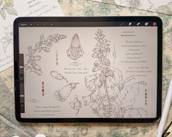Botanical Drawing Journal – Fauna & Flora Sketchbook (weeks 1–10