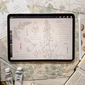 May include: A digital tablet displaying a botanical illustration of a foxglove plant with line drawings, text, and color swatches. The screen shows the text FOX GLOVE, Digitalis purpurea, and descriptive notes. A white stylus rests beside the tablet.