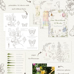 May include: A digital product set titled One Sketchbook 52 Weeks Fauna & Flora Journal, including an ebook, A4 printable sheets with and without facts, Procreate pages, a watercolor brush set, and reference photos featuring floral and insect illustrations.
