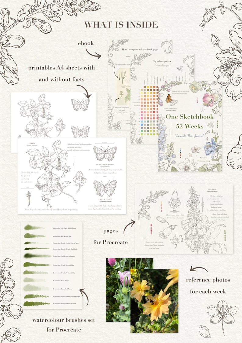 May include: A digital product set titled One Sketchbook 52 Weeks Fauna & Flora Journal, including an ebook, A4 printable sheets with and without facts, Procreate pages, a watercolor brush set, and reference photos featuring floral and insect illustrations.