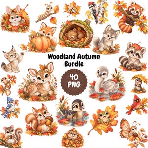 May include: A digital collection of woodland animal illustrations featuring a rabbit, fox, bear, wolf, raccoon, deer, swan, duck, squirrel, and frog surrounded by autumn leaves, pumpkins, and branches, with the text Woodland Autumn Bundle 40 PNG.