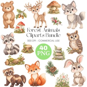 May include: A digital collection of forest animal illustrations including a bear, deer, wolf, raccoon, owl, fox, and rabbit, alongside woodland elements like mushrooms, pinecones, and logs, with the text Forest Animals Cliparts Bundle 300 DPI.