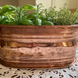Vintage French Copper Oval Jardiniere Planter with Ring Handles (20cm)