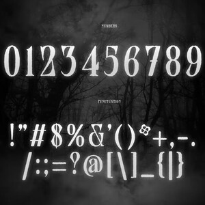 May include: A monochrome image displaying numbers and punctuation in a decorative font. The word "NUMBERS" is above the digits 0 to 9. The word "PUNCTUATION" is above the punctuation symbols.