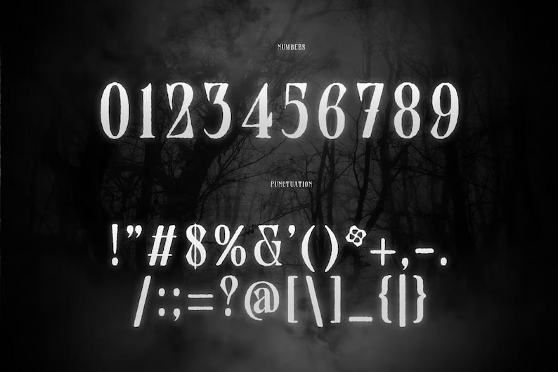 May include: A monochrome image displaying numbers and punctuation in a decorative font. The word "NUMBERS" is above the digits 0 to 9. The word "PUNCTUATION" is above the punctuation symbols.