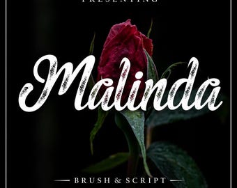 Malinda Brush Script Font Commercial Use Grunge Calligraphy Cricut Canva Logo Wedding Typeface Pack