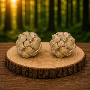 Può includere: Due oggetti decorativi sferici composti da piccoli cubi marrone chiaro racchiusi in materiale trasparente. Sono appoggiati su una fetta di legno rotonda con bordo di corteccia naturale, su uno sfondo di foresta sfocato.
