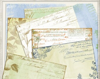 Beautiful Botanical Letter Size Digital Paper Pack, Hybrid, Journal, Garden, Vintage, Junk Journal, Commercial use, Mini album, Printable