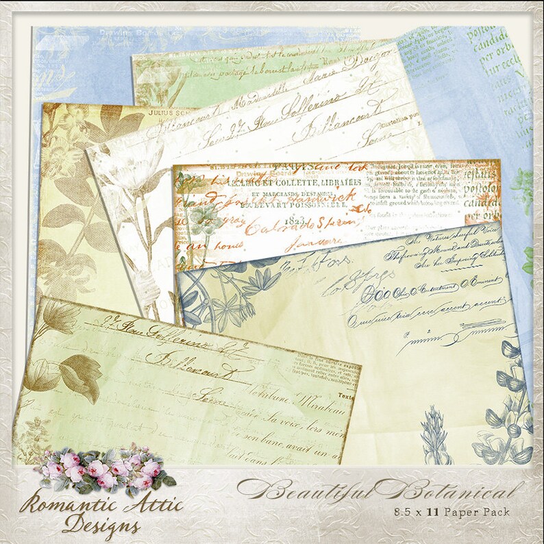 Może przedstawiać: Cyfrowy pakiet papieru o estetyce vintage z botanicznymi ilustracjami i ręcznie pisanym tekstem. Pakiet papieru nosi tytuł "Beautiful Botanical" i zawiera tekst "8.5 x 11 Paper Pack".