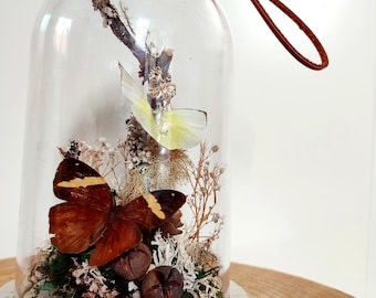 Vera farfalla sotto cupola con veri fiori secchi - Decorazione naturale fatta a mano - Tassidermia a cupola