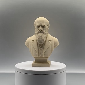 Op de afbeelding: Een beige 3D-geprint borstbeeld van Charles Darwin met een gedetailleerde weergave van zijn gelaatstrekken, een volle baard en een jas met kraag. Het beeld staat op een vierkante voet en vertoont zichtbare horizontale lijnen van het printproces.