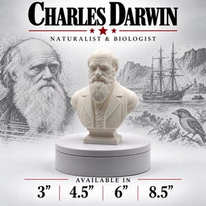May include: A white bust of Charles Darwin featuring a detailed beard and suit jacket, displayed on a circular stand. The text reads CHARLES DARWIN NATURALIST & BIOLOGIST, with available sizes listed as 3", 4.5", 6", and 8.5" inches.