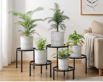Bonsai Display Stand - Etsy