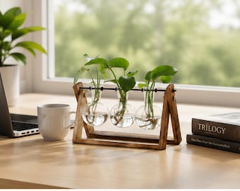 Hydroponic Plant Terrarium, Wooden Stand Glass Vase Set, 3 Bulb Air Plant Holder, Desktop Propagation Station, Rustic Home Decor