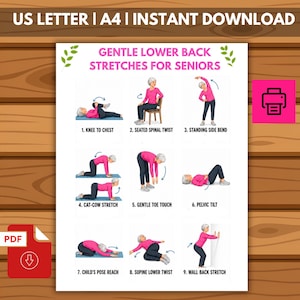May include: A digital instructional chart titled GENTLE LOWER BACK STRETCHES FOR SENIORS, featuring nine illustrations of a person in a pink shirt performing exercises: knee to chest, seated spinal twist, standing side bend, cat-cow, toe touch, pelvic tilt, child's pose, supine twist, and wall stretch.