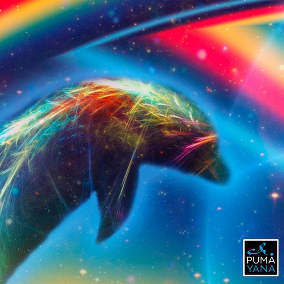 シリウスとのつながり アートプリント | キャンバス | スピリチュアル