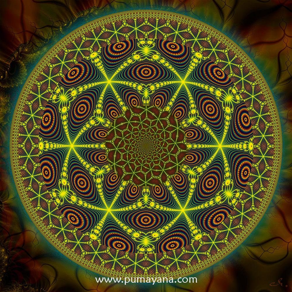 Mescaline Mandala Shamanic Tapestry, Spiritual Psychedelic Wall Hanging,  Sacred Geometry Art, Ayahuasca Cactus DMT Ceremony Decoration - Etsy