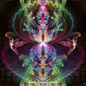 I See You Psychedelic Mandala Art Print | Canvas | Shamanic Art | Spiritual | Sacred Geometry | Visionary | Psy | Art