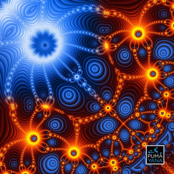 Psychedelic Mandala Art Print: Cactivated DNA Canvas, Shamanic