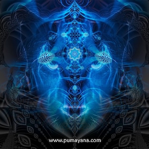 Pumayana Shamanic Tapestry: Black Jaguar, Psychedelic Totem Wall Art