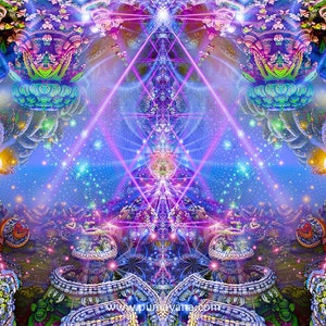 May include: A psychedelic digital art print with a symmetrical design featuring a blue background with a pink and purple geometric pattern. The design is surrounded by a colorful, intricate border.