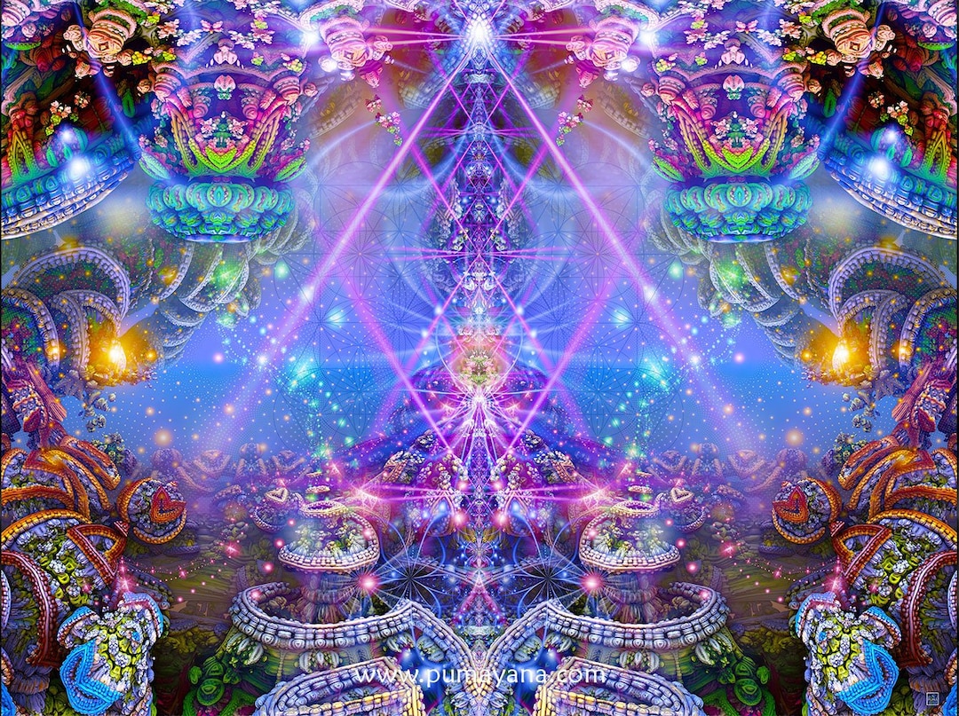 【サイケデリックアート】 巨匠Brahmaのアート　本物 il_1080xN.1865208682_b88z.jpg