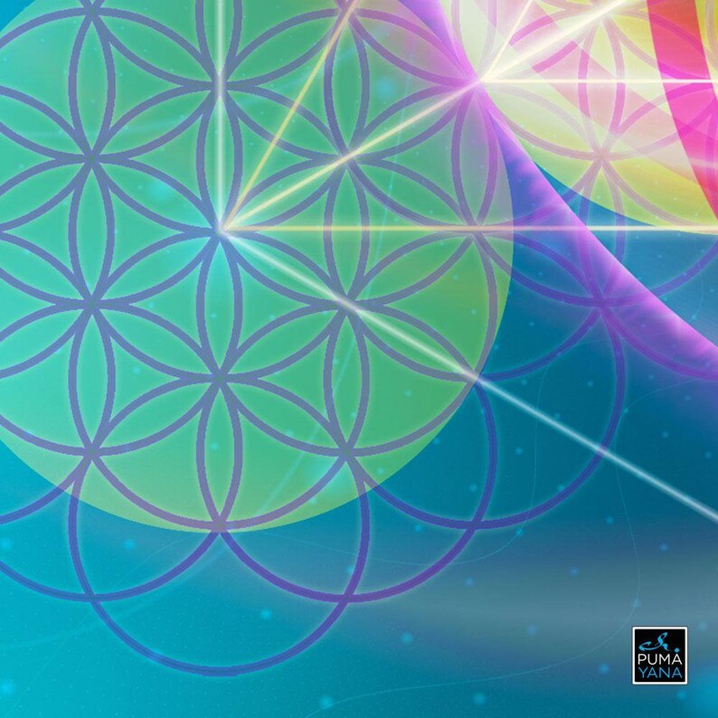 Light Activation Healing Mandala Art Print | Canvas | Mindfulness Gift ...